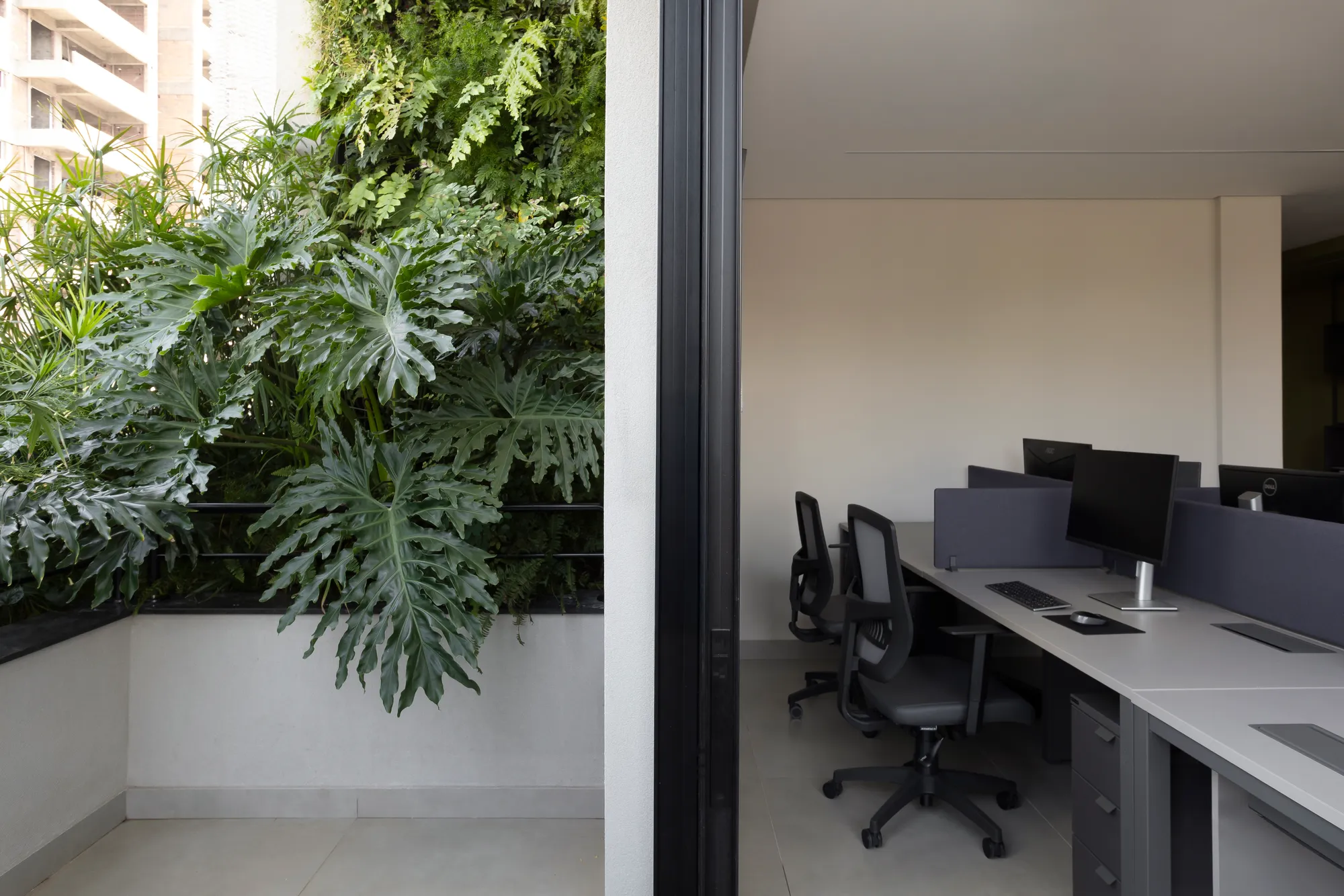 Casa de Bolo — imagem 5