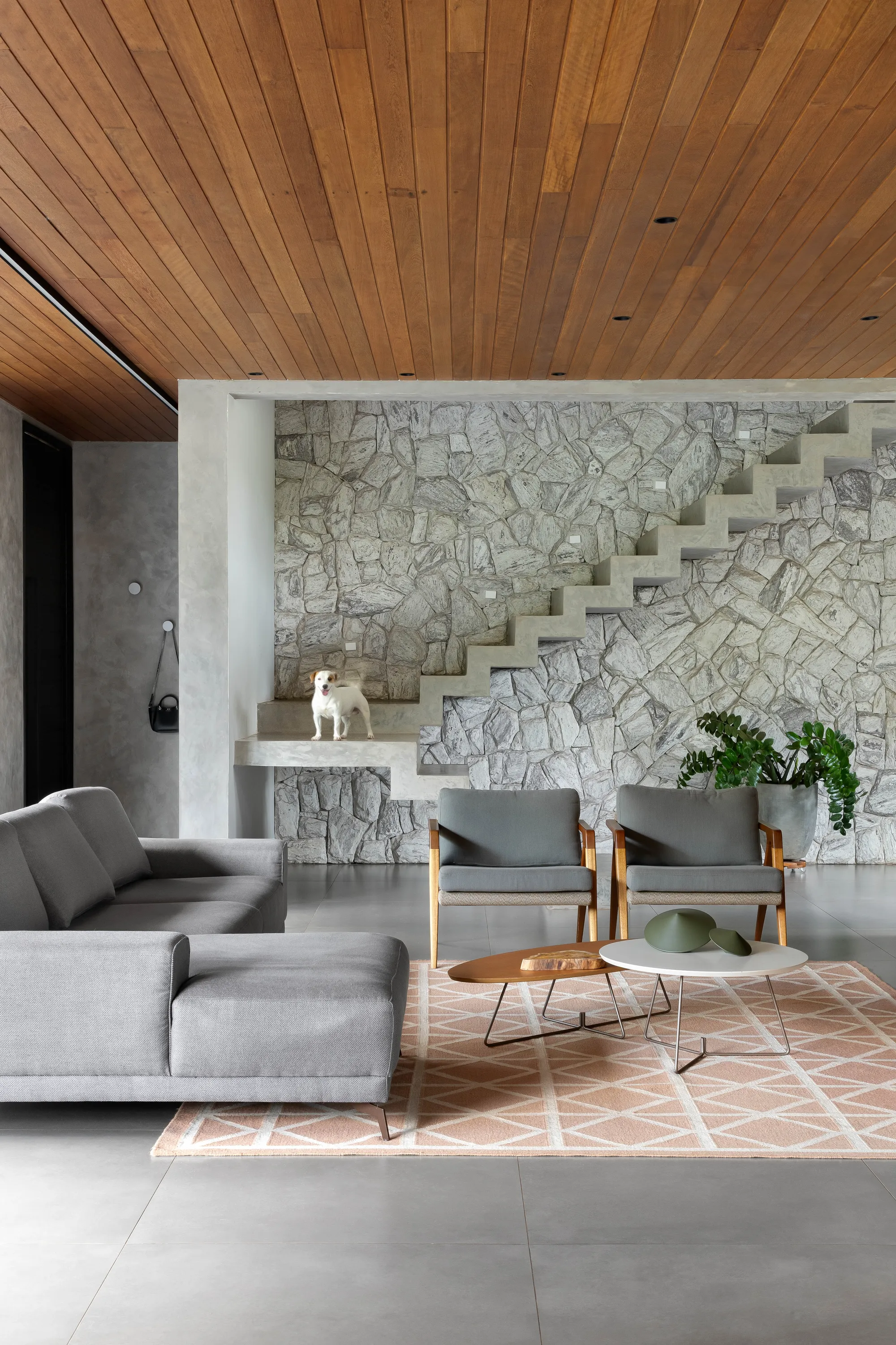 Casa GIN — imagem 2